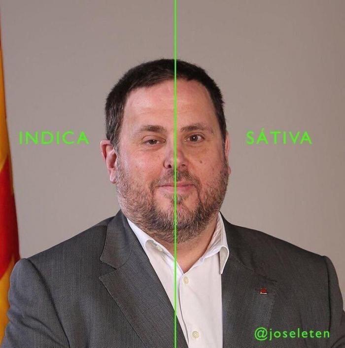 Esta conversación de un joven con su madre por WhatsApp es épica: "El mejor hilo que he visto en mi vida"