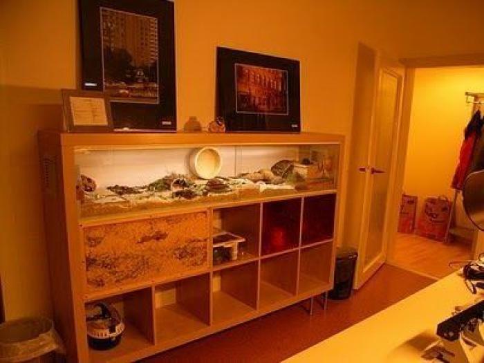 Este estante clásico de IKEA es el elemento perfecto para crear el tocador de tus sueños