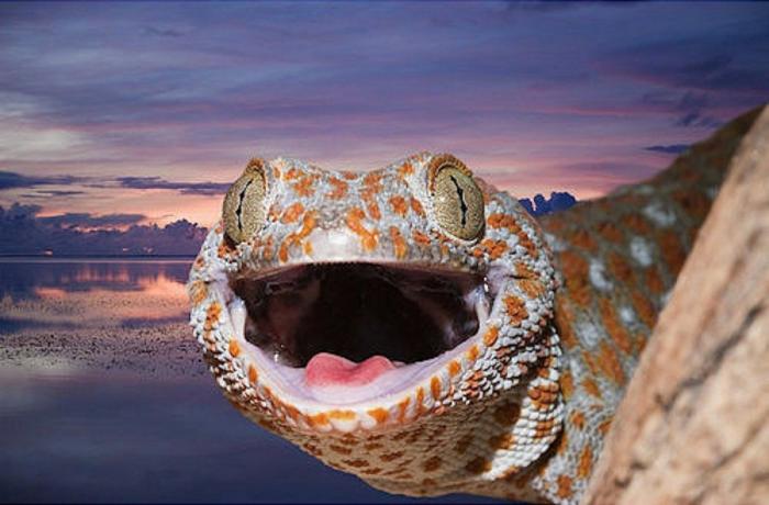 Frank Cuesta carga contra 'El Chiringuito': "Hay que ser más inteligente y no ir de listo"