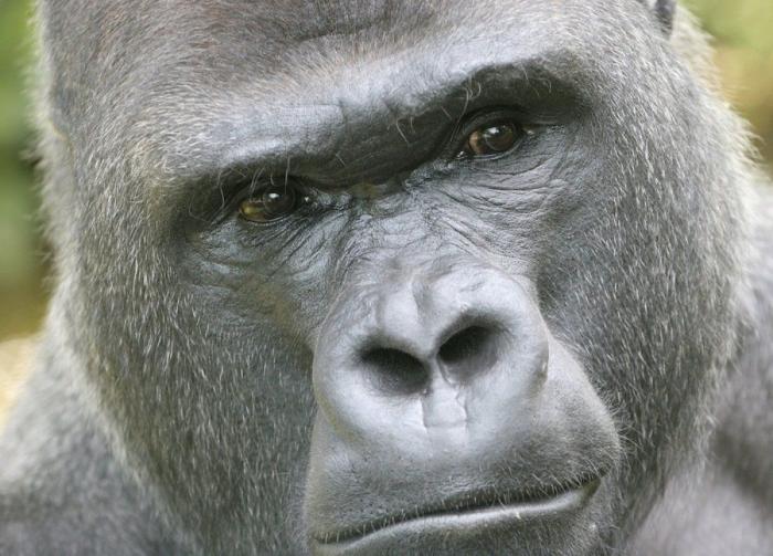 Frank Cuesta carga contra 'El Chiringuito': "Hay que ser más inteligente y no ir de listo"