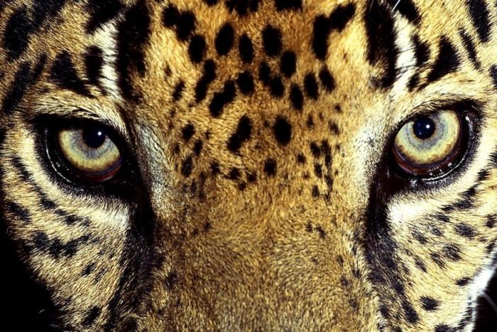 Frank Cuesta carga contra 'El Chiringuito': "Hay que ser más inteligente y no ir de listo"