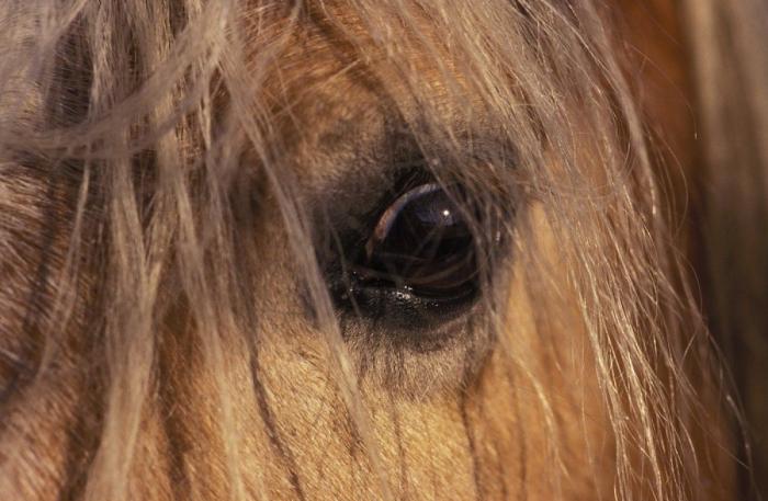 Frank Cuesta carga contra 'El Chiringuito': "Hay que ser más inteligente y no ir de listo"