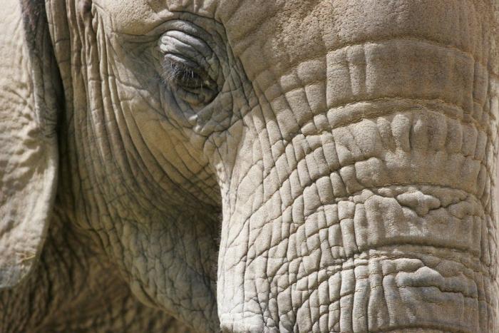 Frank Cuesta carga contra 'El Chiringuito': "Hay que ser más inteligente y no ir de listo"