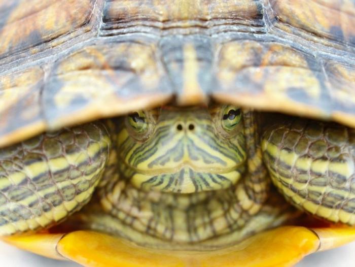 Frank Cuesta carga contra 'El Chiringuito': "Hay que ser más inteligente y no ir de listo"