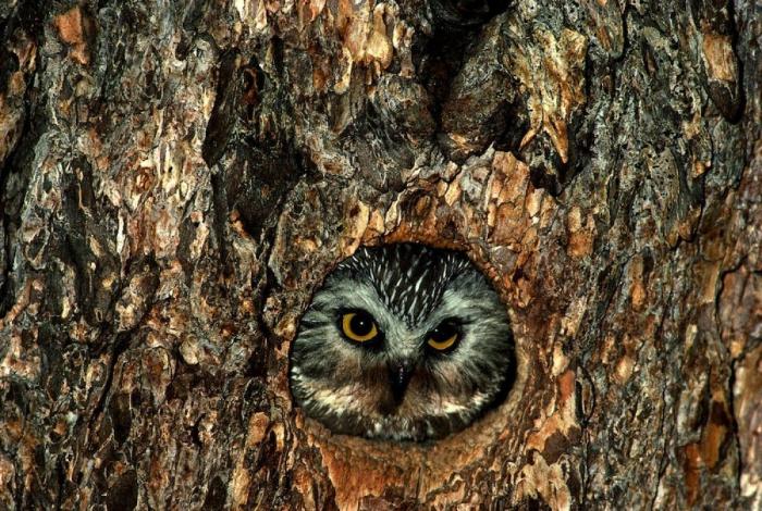 Frank Cuesta carga contra 'El Chiringuito': "Hay que ser más inteligente y no ir de listo"