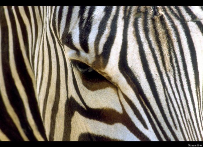 Frank Cuesta carga contra 'El Chiringuito': "Hay que ser más inteligente y no ir de listo"