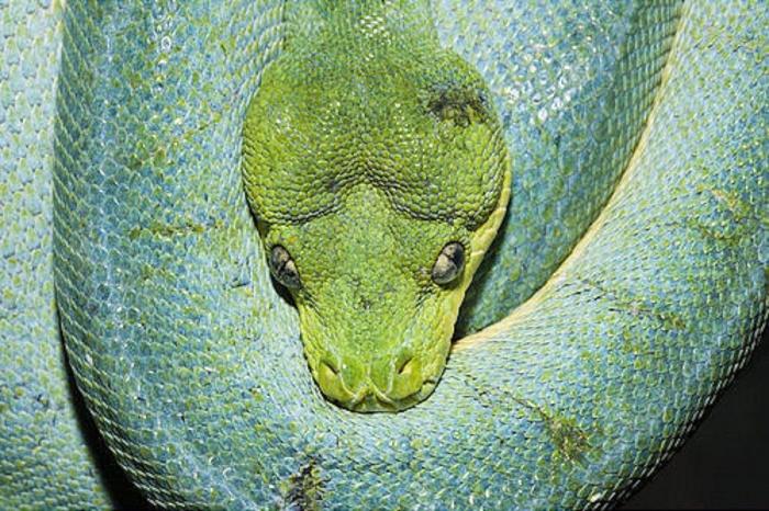 Frank Cuesta carga contra 'El Chiringuito': "Hay que ser más inteligente y no ir de listo"