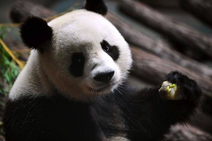 Frank Cuesta carga contra 'El Chiringuito': "Hay que ser más inteligente y no ir de listo"