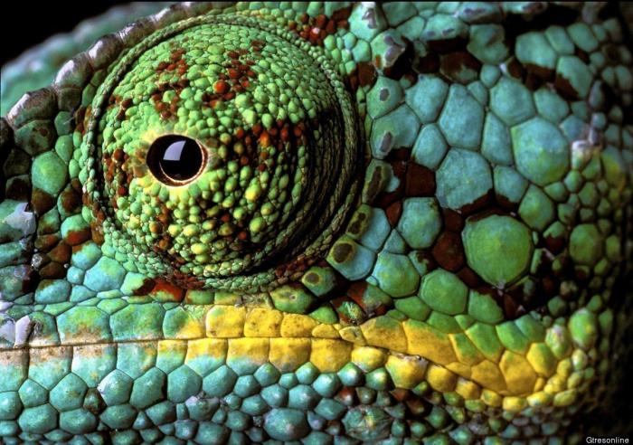 Frank Cuesta carga contra 'El Chiringuito': "Hay que ser más inteligente y no ir de listo"