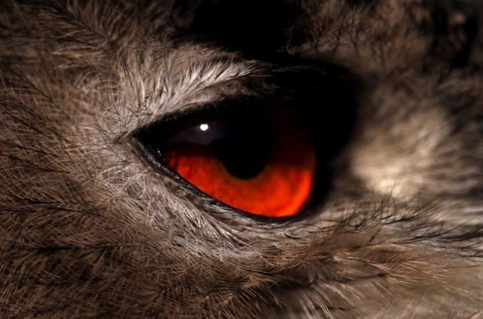 Frank Cuesta carga contra 'El Chiringuito': "Hay que ser más inteligente y no ir de listo"