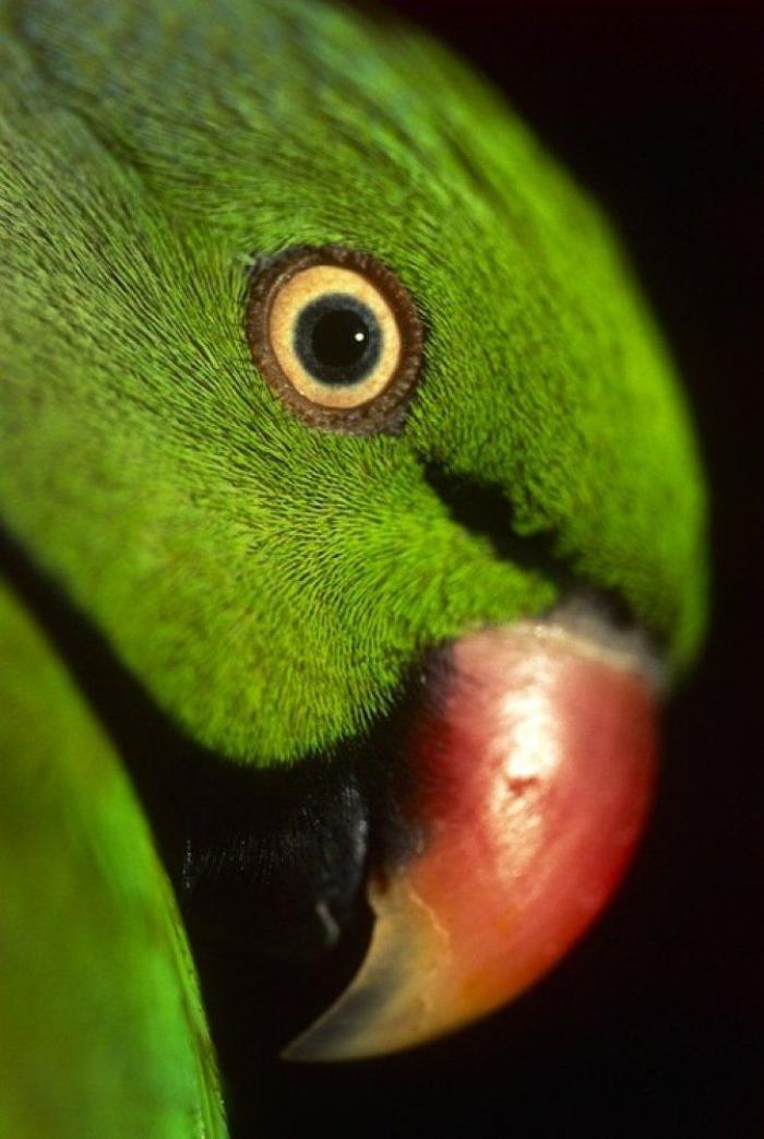 Frank Cuesta carga contra 'El Chiringuito': "Hay que ser más inteligente y no ir de listo"