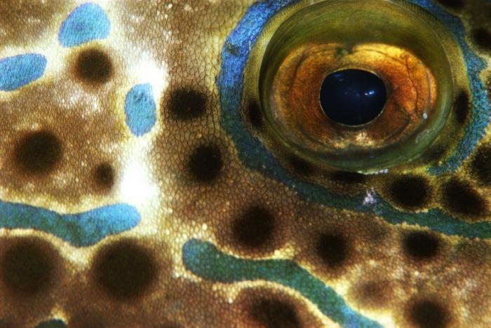 Frank Cuesta carga contra 'El Chiringuito': "Hay que ser más inteligente y no ir de listo"