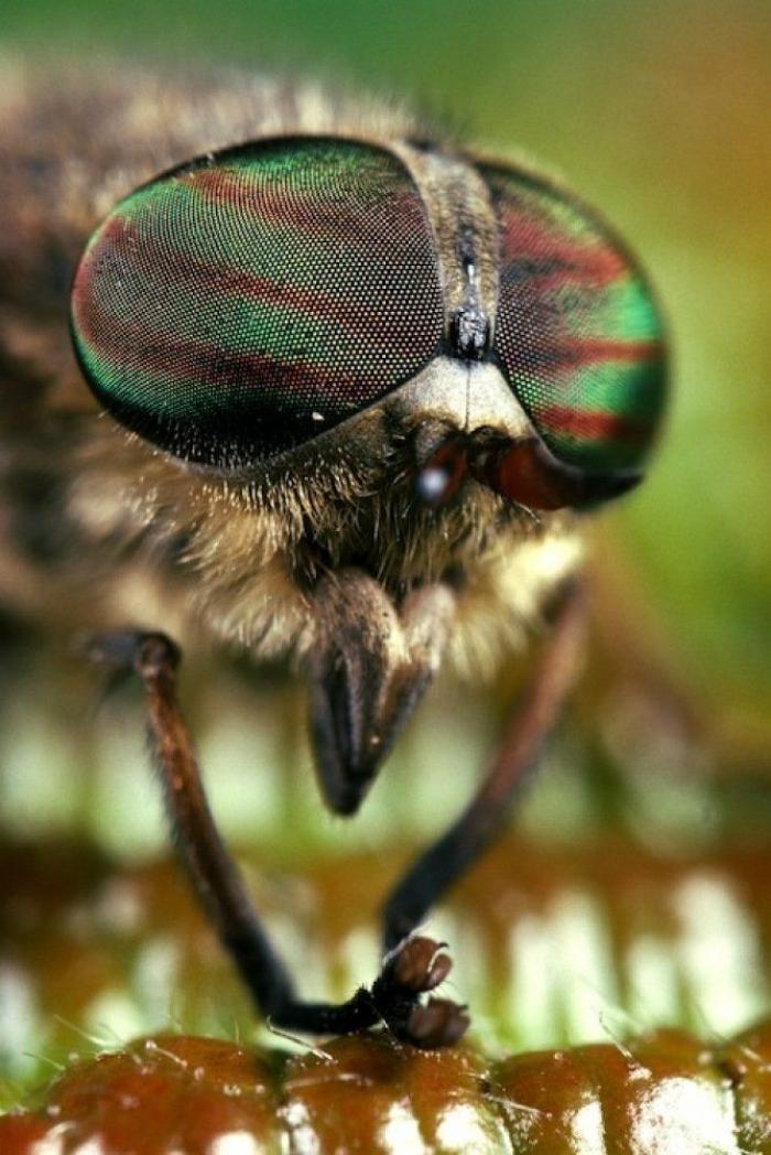 Frank Cuesta carga contra 'El Chiringuito': "Hay que ser más inteligente y no ir de listo"