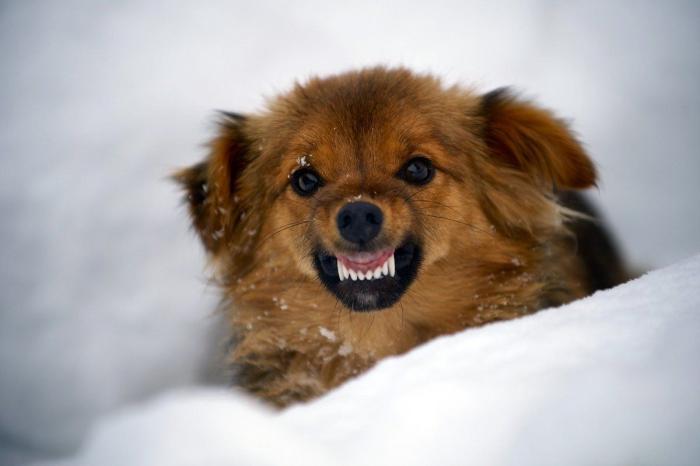 Sitios a salvo del apocalipsis: lugares donde se ha ido a esperar la salvación del fin del mundo (FOTOS)