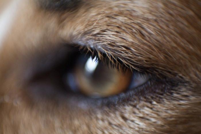 Frank Cuesta carga contra 'El Chiringuito': "Hay que ser más inteligente y no ir de listo"