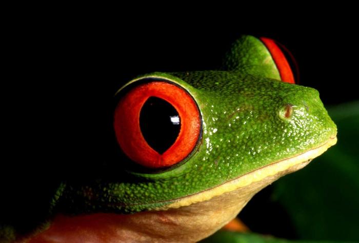 Frank Cuesta carga contra 'El Chiringuito': "Hay que ser más inteligente y no ir de listo"