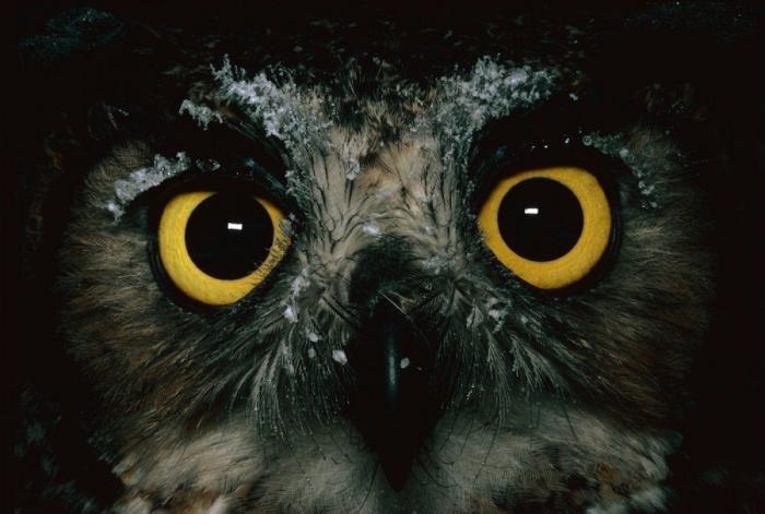 Frank Cuesta carga contra 'El Chiringuito': "Hay que ser más inteligente y no ir de listo"