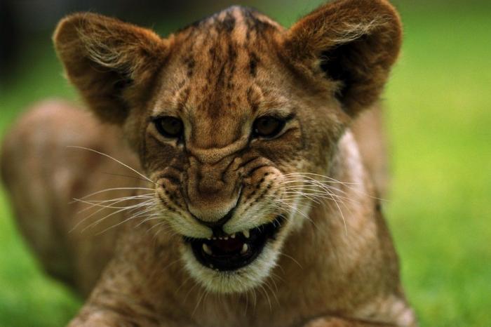 Frank Cuesta carga contra 'El Chiringuito': "Hay que ser más inteligente y no ir de listo"