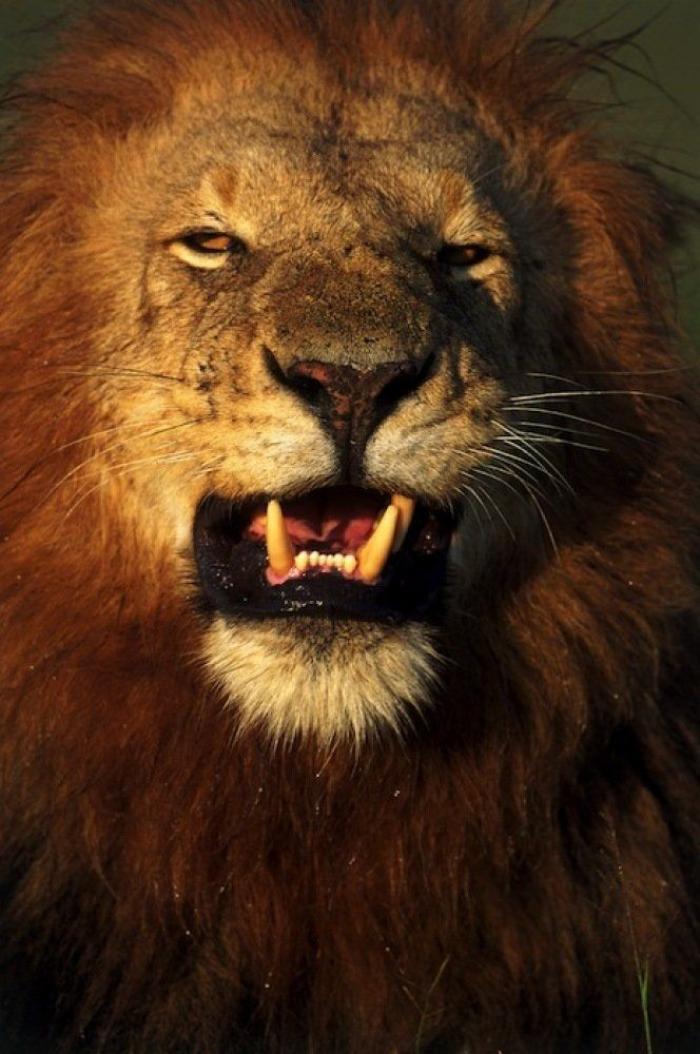 Frank Cuesta carga contra 'El Chiringuito': "Hay que ser más inteligente y no ir de listo"