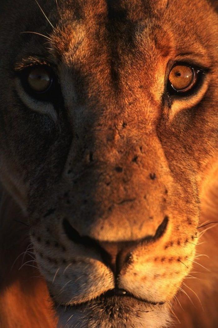 Frank Cuesta carga contra 'El Chiringuito': "Hay que ser más inteligente y no ir de listo"