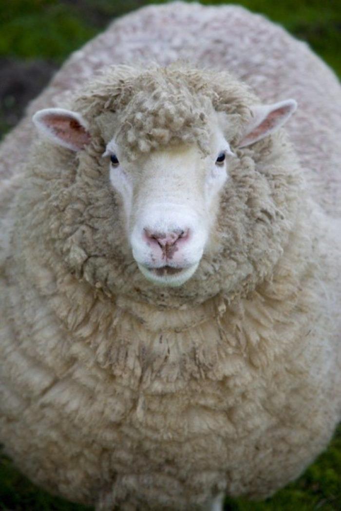 Frank Cuesta carga contra 'El Chiringuito': "Hay que ser más inteligente y no ir de listo"