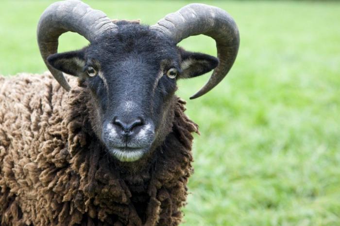 Frank Cuesta carga contra 'El Chiringuito': "Hay que ser más inteligente y no ir de listo"