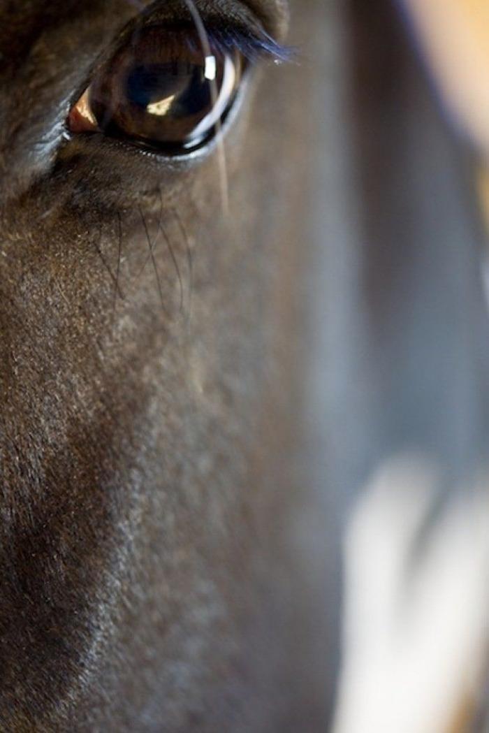 Frank Cuesta carga contra 'El Chiringuito': "Hay que ser más inteligente y no ir de listo"