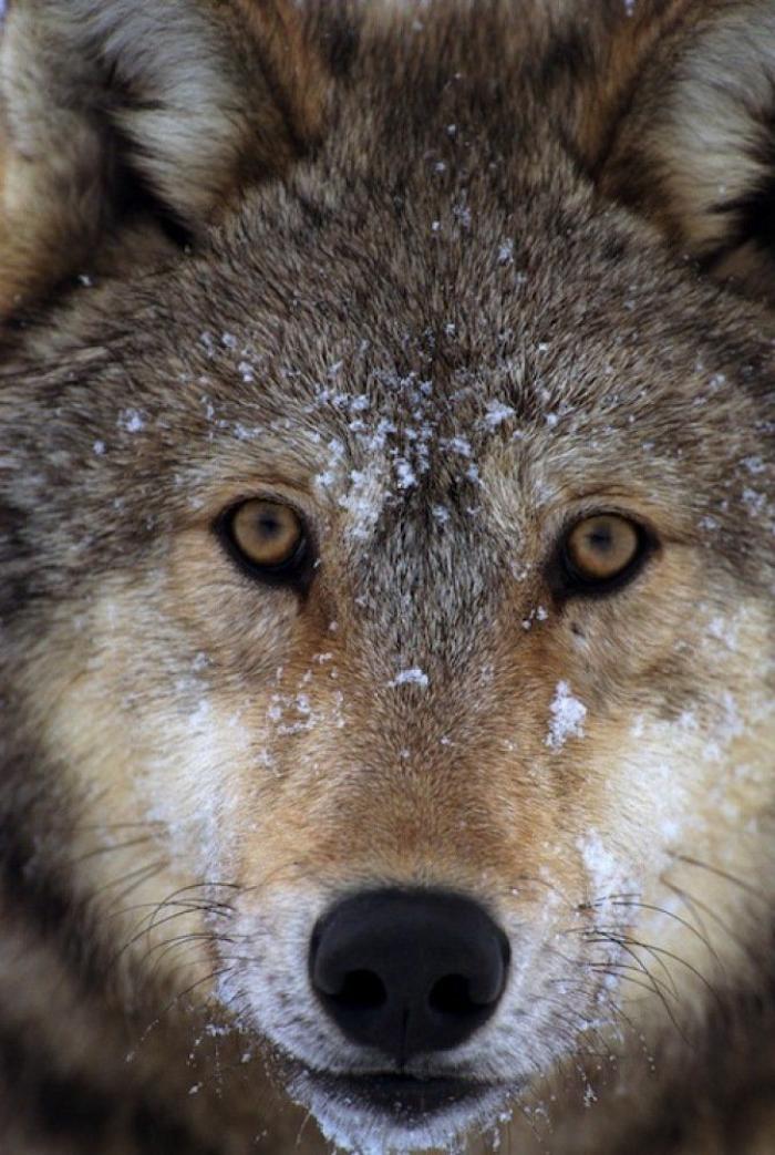 Frank Cuesta carga contra 'El Chiringuito': "Hay que ser más inteligente y no ir de listo"