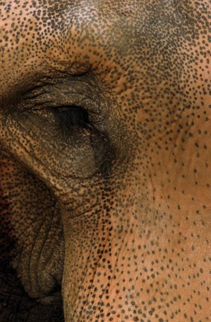 Frank Cuesta carga contra 'El Chiringuito': "Hay que ser más inteligente y no ir de listo"