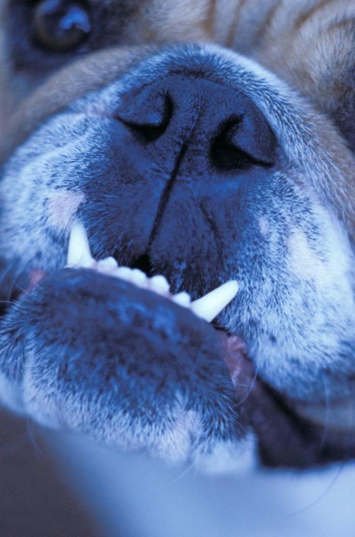 Frank Cuesta carga contra 'El Chiringuito': "Hay que ser más inteligente y no ir de listo"