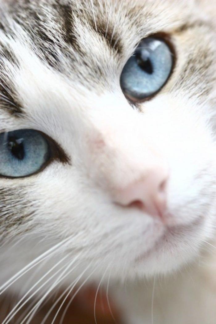 Frank Cuesta carga contra 'El Chiringuito': "Hay que ser más inteligente y no ir de listo"