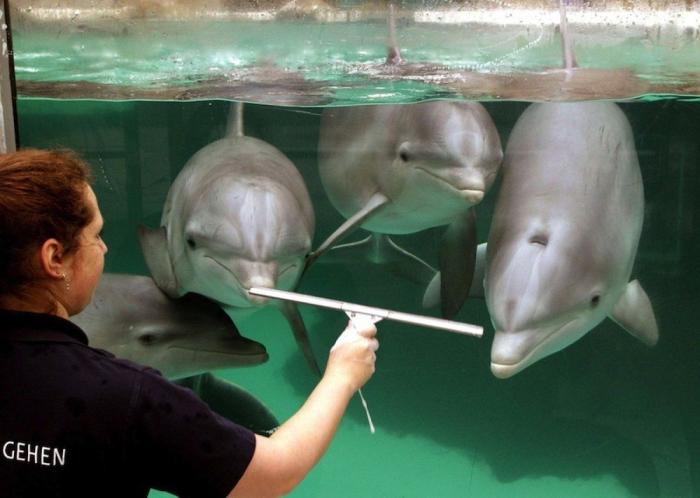 Frank Cuesta carga contra 'El Chiringuito': "Hay que ser más inteligente y no ir de listo"