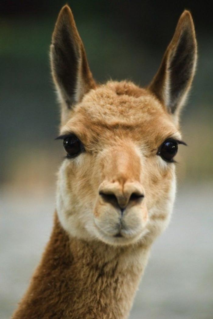 Frank Cuesta carga contra 'El Chiringuito': "Hay que ser más inteligente y no ir de listo"