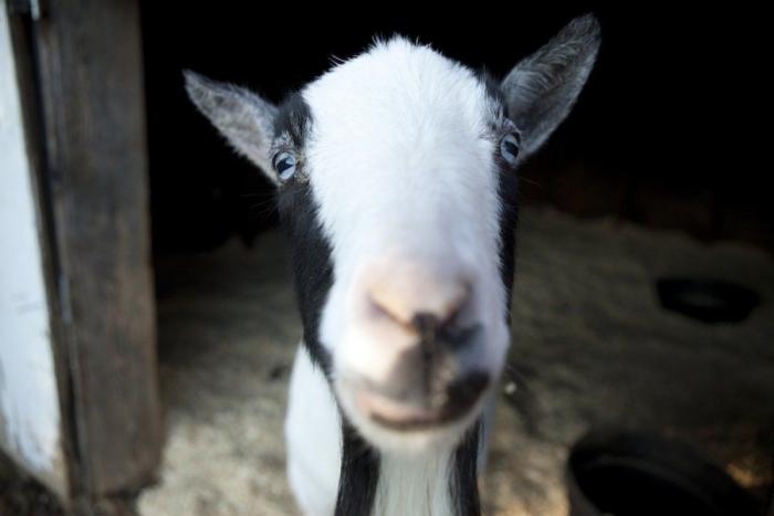 Frank Cuesta carga contra 'El Chiringuito': "Hay que ser más inteligente y no ir de listo"