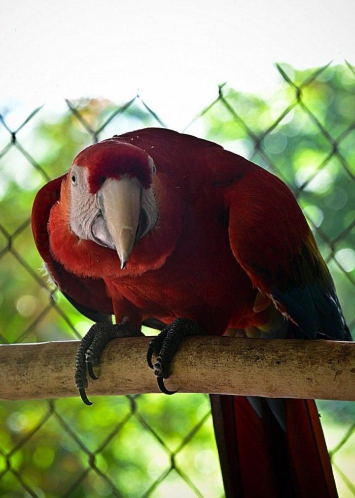 Frank Cuesta carga contra 'El Chiringuito': "Hay que ser más inteligente y no ir de listo"