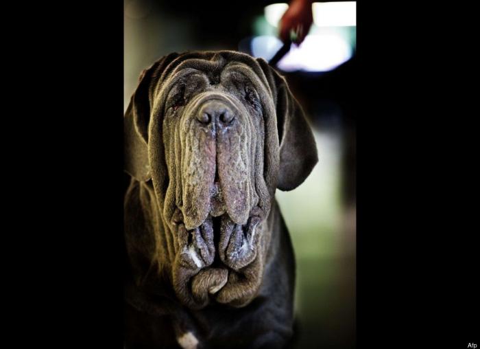 Frank Cuesta carga contra 'El Chiringuito': "Hay que ser más inteligente y no ir de listo"