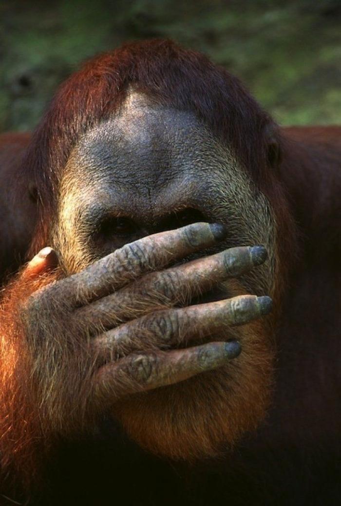 Frank Cuesta carga contra 'El Chiringuito': "Hay que ser más inteligente y no ir de listo"