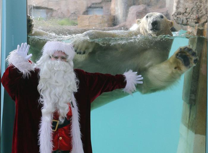 De bienes embargables a "seres sintientes": así cambiará la ley española para dar mayor cobertura a la protección animal