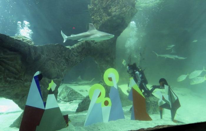 De bienes embargables a "seres sintientes": así cambiará la ley española para dar mayor cobertura a la protección animal