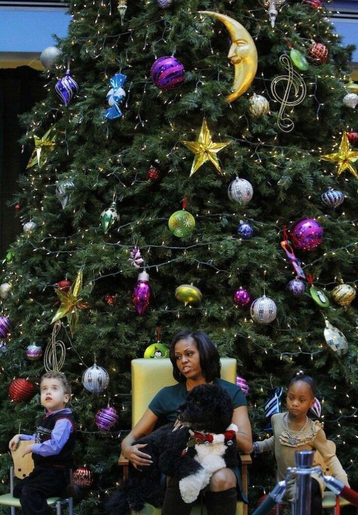 De bienes embargables a "seres sintientes": así cambiará la ley española para dar mayor cobertura a la protección animal