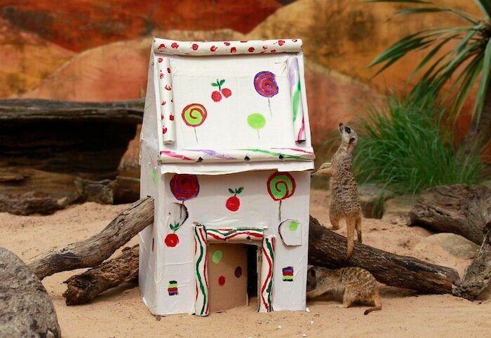 De bienes embargables a "seres sintientes": así cambiará la ley española para dar mayor cobertura a la protección animal