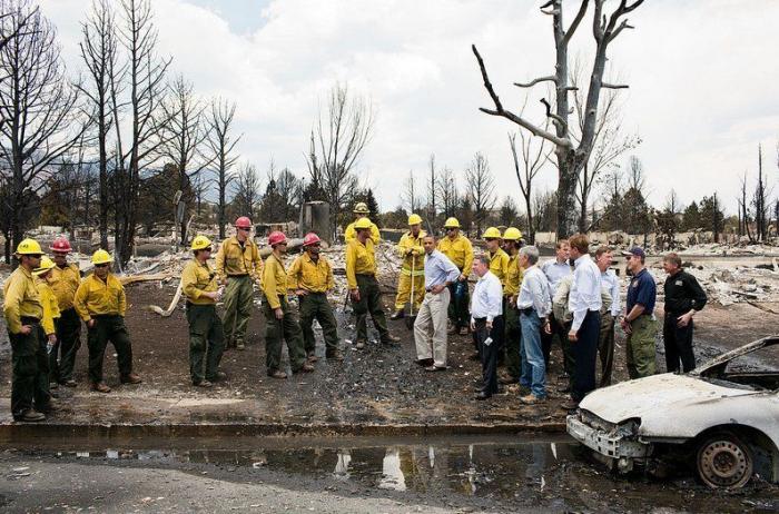 Muere Bo, el perro de los Obama