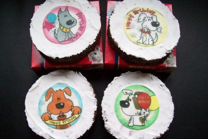 Cerveza para perros (y otras frikadas para tu mascota)