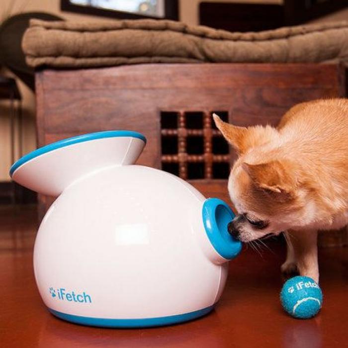 Cerveza para perros (y otras frikadas para tu mascota)