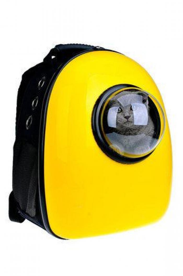 Cerveza para perros (y otras frikadas para tu mascota)