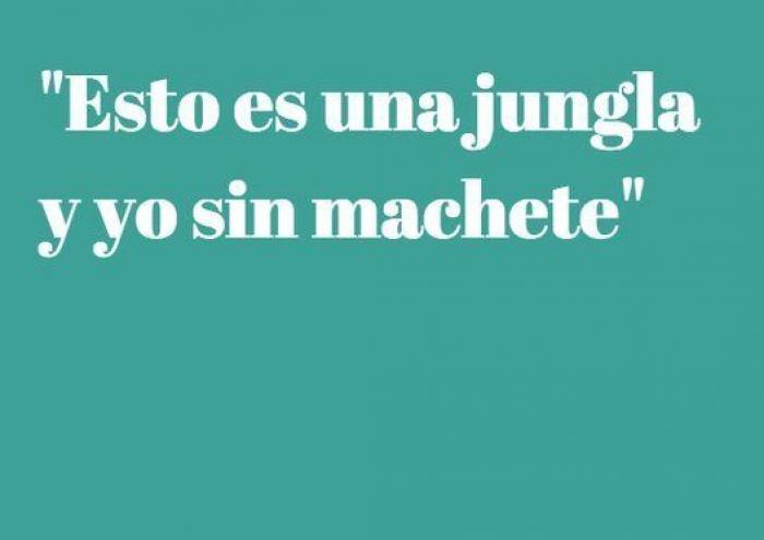La contundente respuesta de Pérez-Reverte a este tuit