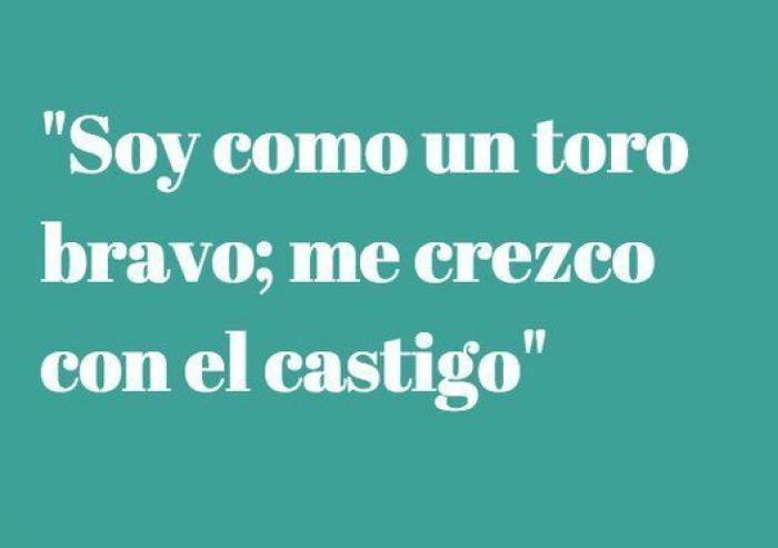 La contundente respuesta de Pérez-Reverte a este tuit