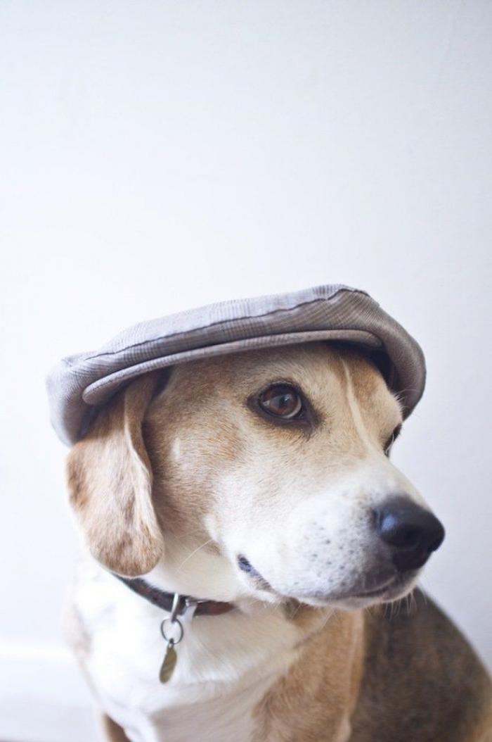 El tierno beso de despedida de una jirafa a su cuidador enfermo de cáncer (VÍDEO, FOTO)