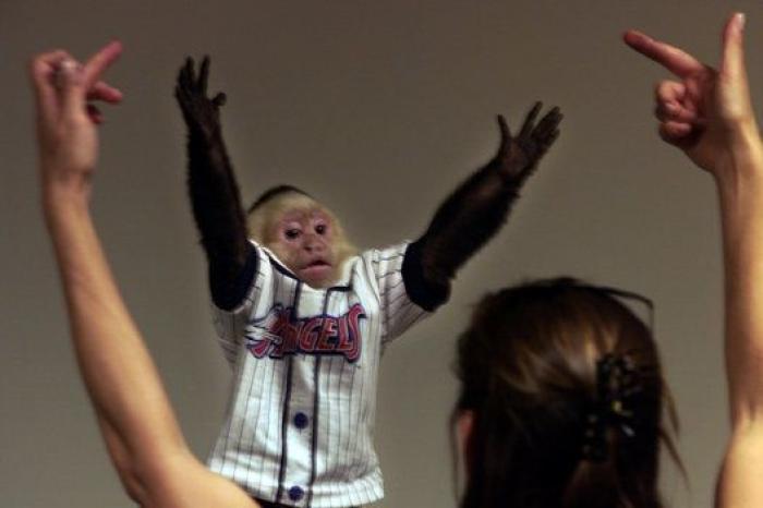 "Me despidieron de Frasier": el inspirador discurso de Lisa Kudrow sobre los reveses de la vida