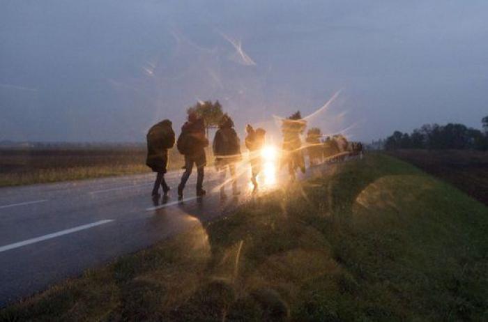 El cardenal Cañizares: "¿Esta invasión de emigrantes y de refugiados es todo trigo limpio?"